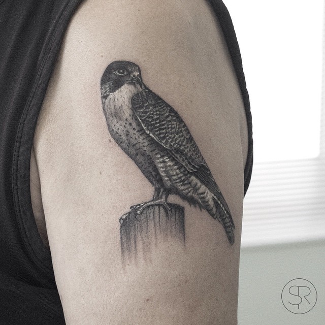 Realistic Falcon tattoo on Shoulder | Best Tattoo Ideas Gallery