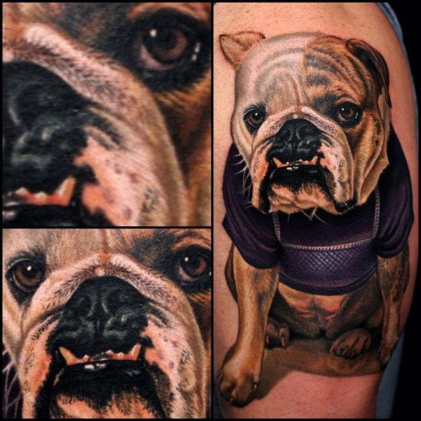 Clumsy Bulldog realistic tattoo