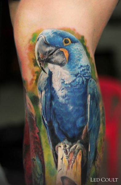 Blue Parrot Realistic tattoo by Led Coult