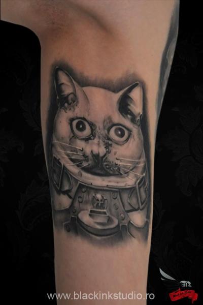 Cat Marine Graphic tattoo by Black Ink Studio