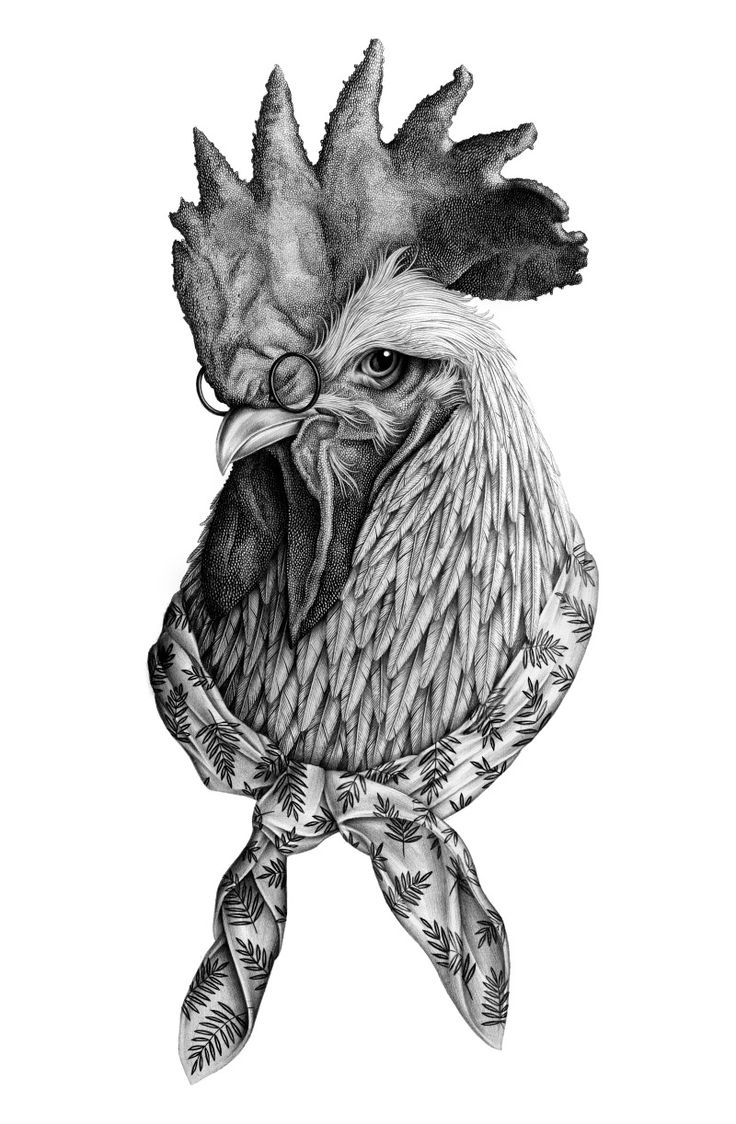 Clever Rooster tattoo sketch