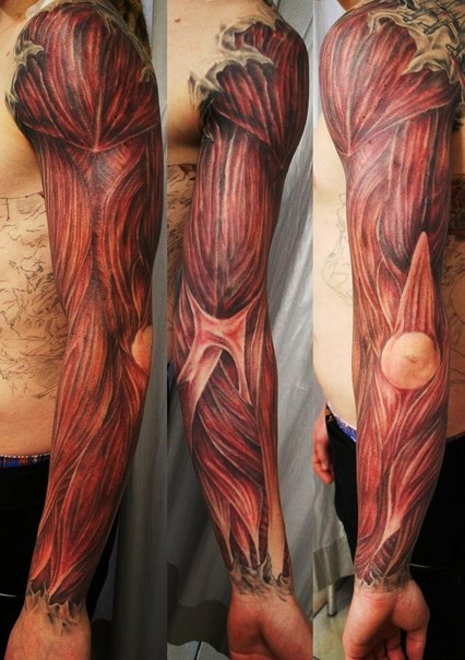 Elbow and Hand Muscles Realistic tattoo sleeve
