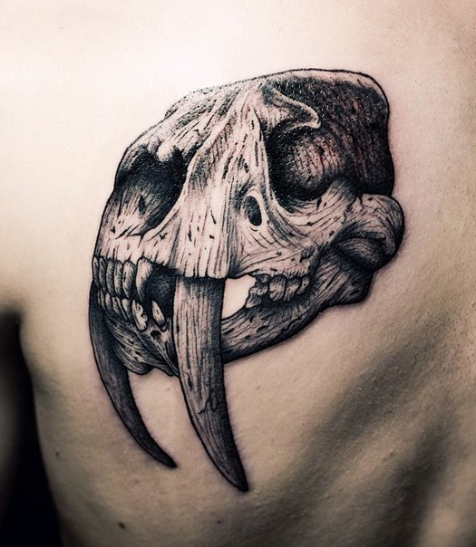 Realistic Saber-Toothed Tiger Graphic tattoo idea - Best Tattoo Ideas  Gallery