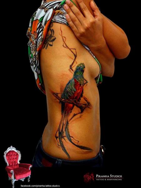 Body Side Realpistic Parrot tattoo by Piranha Tattoo Supplies
