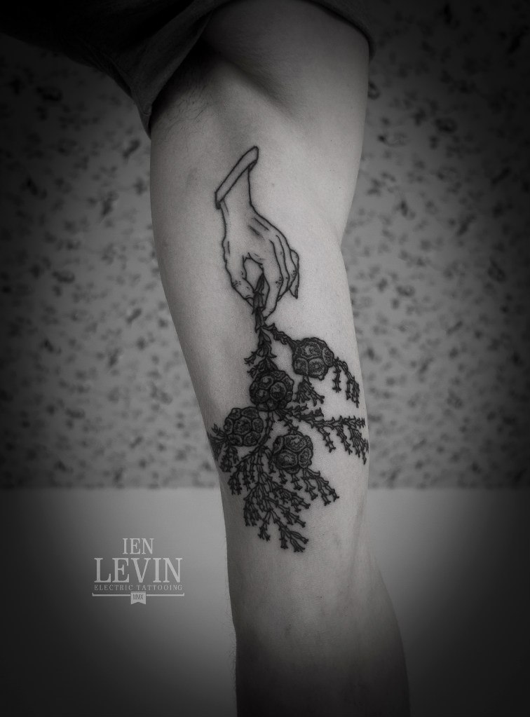 Bush Grass Hand Dotwork tattoo by Ien Levin