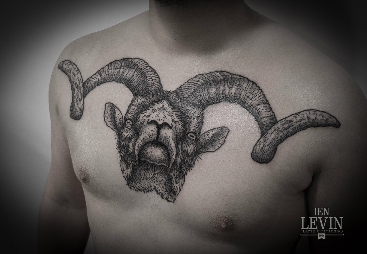 Realistic Ram Dotwork tattoo by Ien Levin