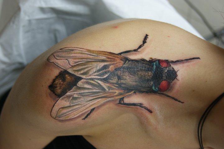 Shoulder Giant Fly 3D tattoo by Tantrix Body Art