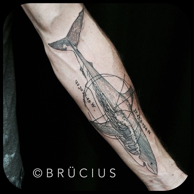 Arm Dotwork Shark tattoo by BRÜCIUS