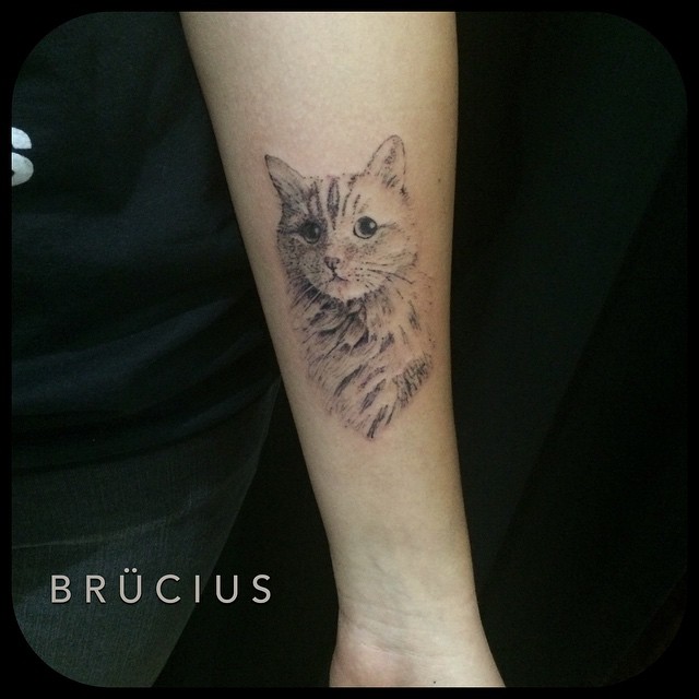 Fluffy Kitty tattoo on Arm