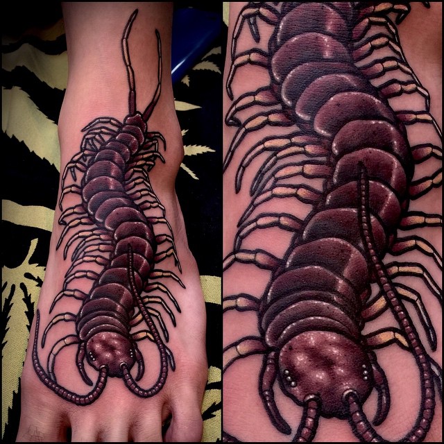 centipede in Tattoos  Search in 13M Tattoos Now  Tattoodo
