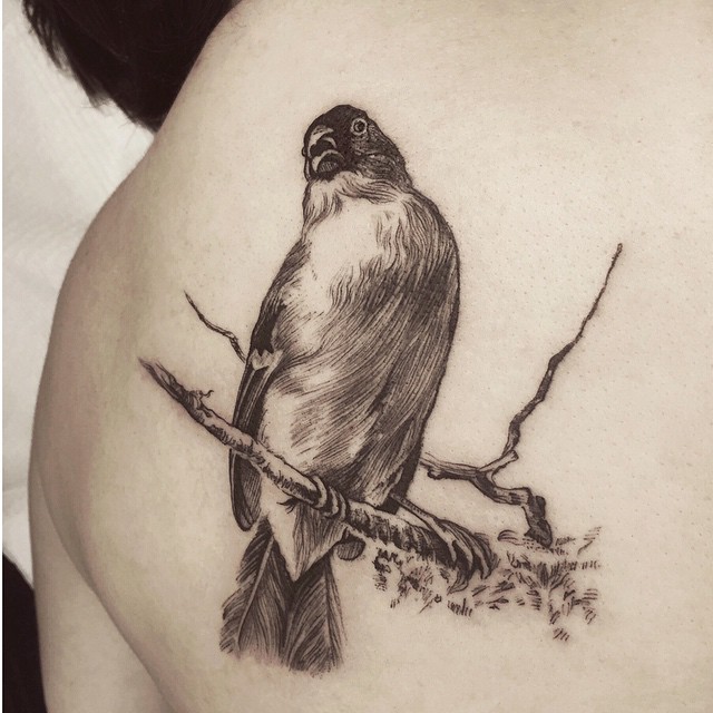 Realistic Graphic Bird Tattoo