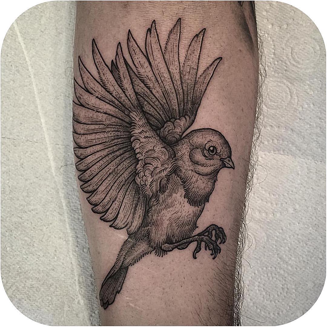 Arm Graphic Sparrow Tattoo | Best Tattoo Ideas Gallery