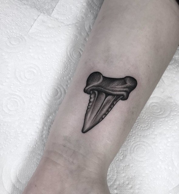 Tattoo Shark tooth Shark Great White Shark tooth tattoo  Tooth tattoo Shark  tooth tattoo Tattoos