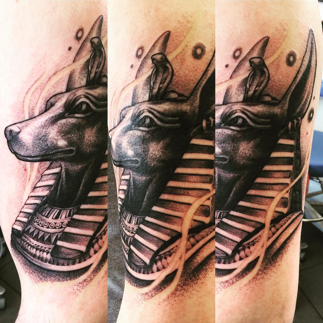 Fresh Ink Anubis Forearm by Payton Grace at Black Sheep in Fort Wayne,  Indiana : r/tattoos