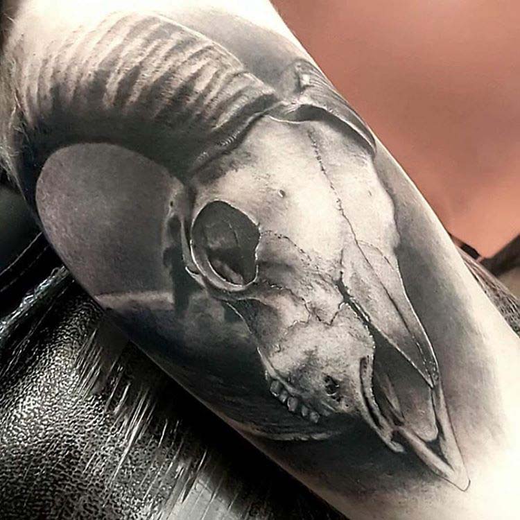 Ram skull tattoo black and grey
