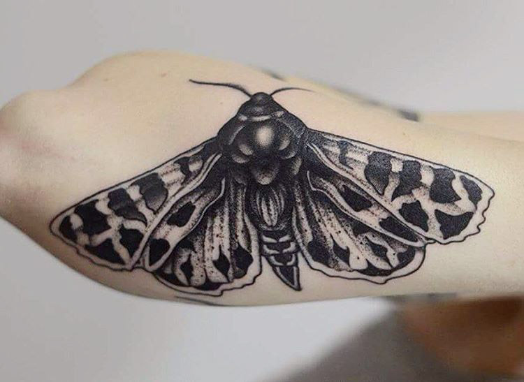down tattoo moth