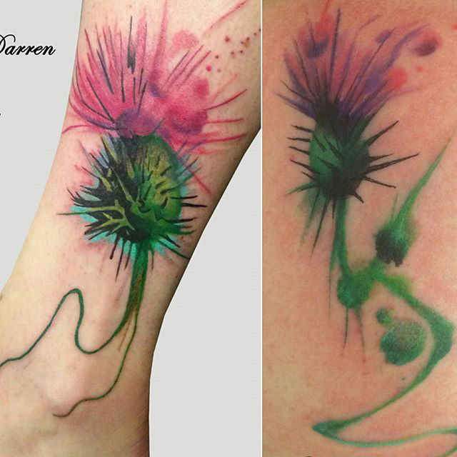 scottish thistle tatto watercolor