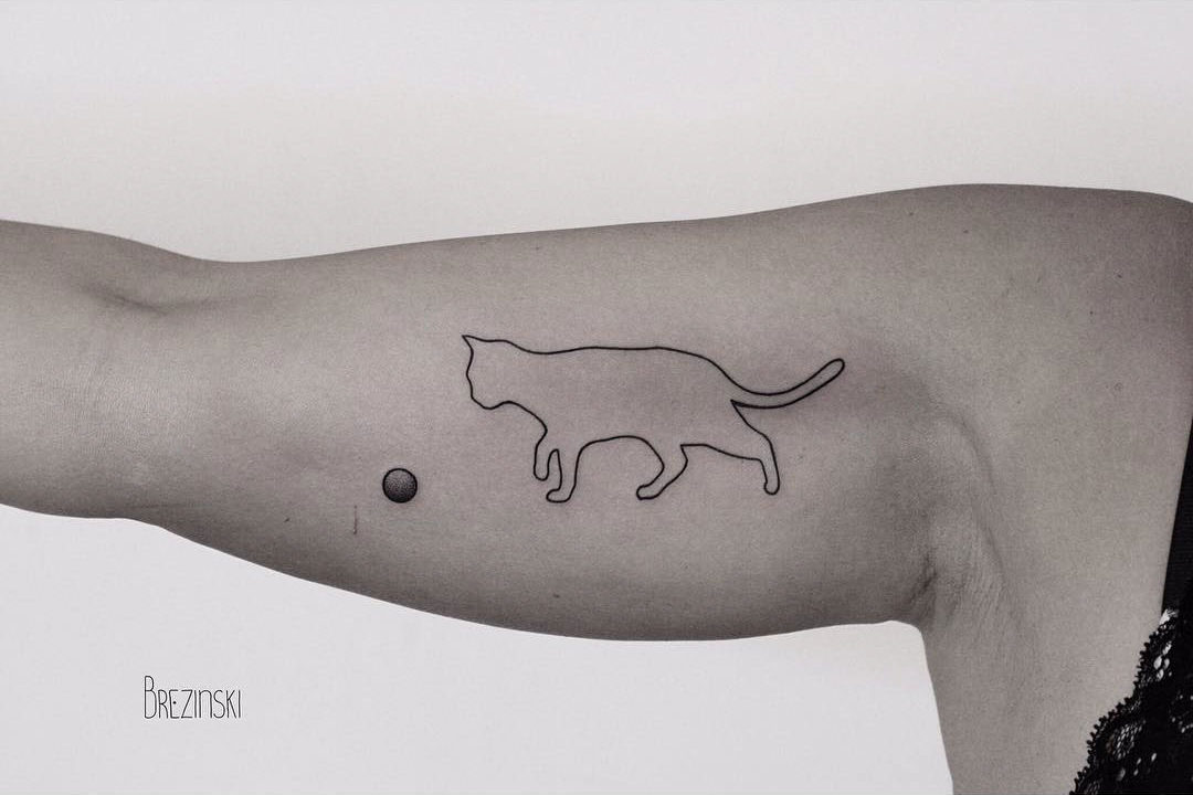 tattoo cat minimalism 03.12.2019 №016 -cat tattoo- tattoovalue.net -  tattoovalue.net