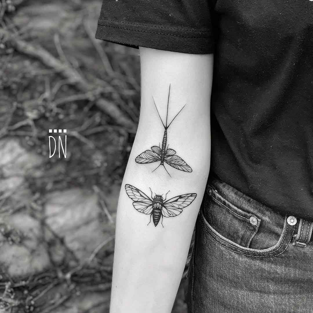 insects tattoo cicada and mayfly